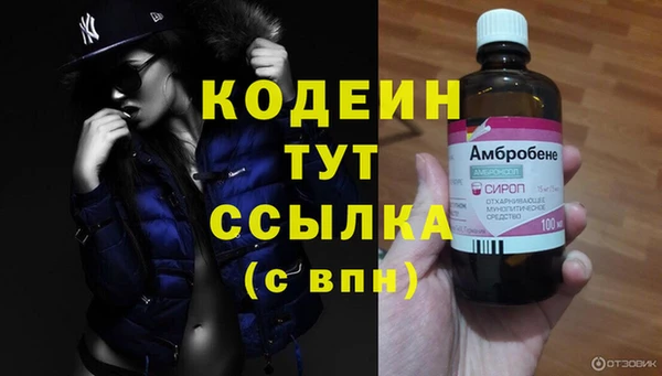 прущие крисы Верея