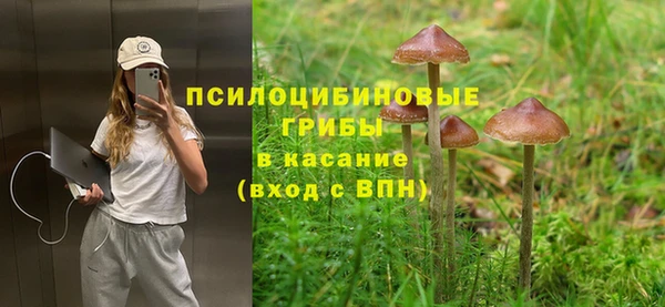 apvp Верхний Тагил
