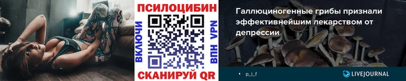Псилоцибиновые грибы Psilocybine cubensis  купить   Оренбург 
